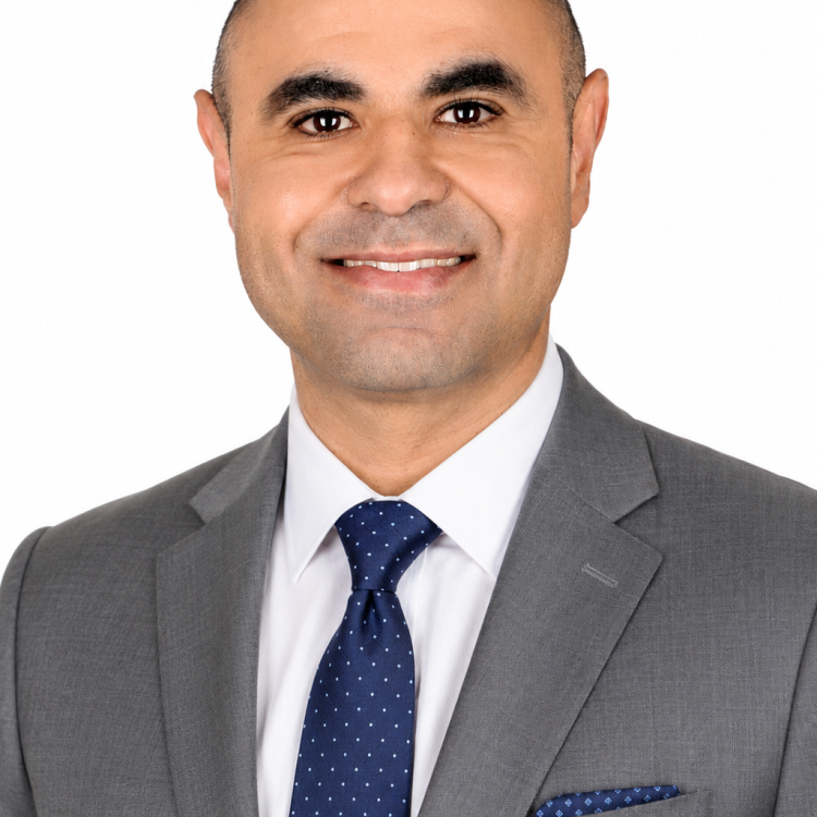   Amir  Elmekkawi