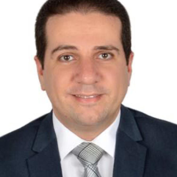   Bassem Elattal